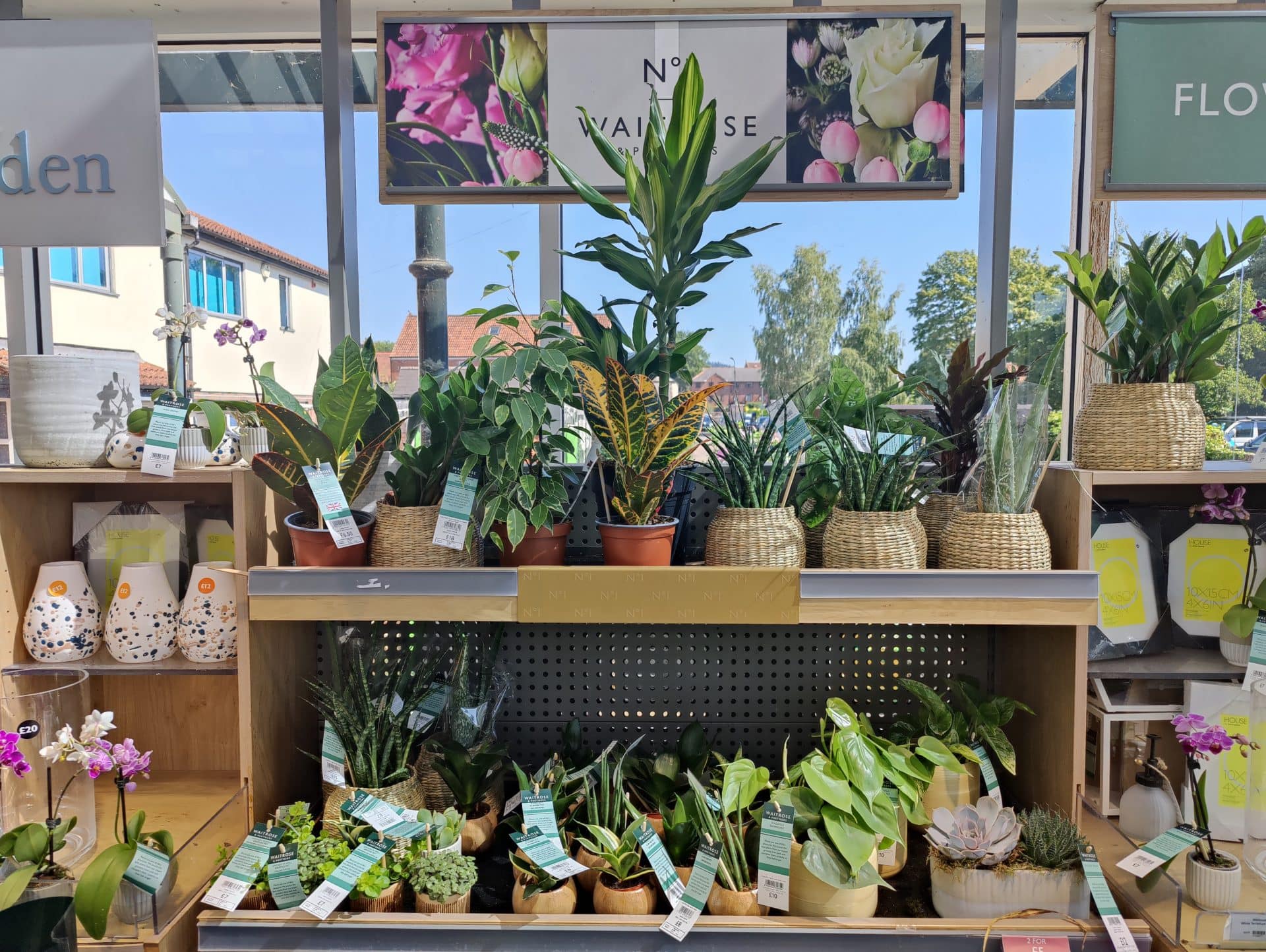 Waitrose Indoor Plants Complete List Outplanted