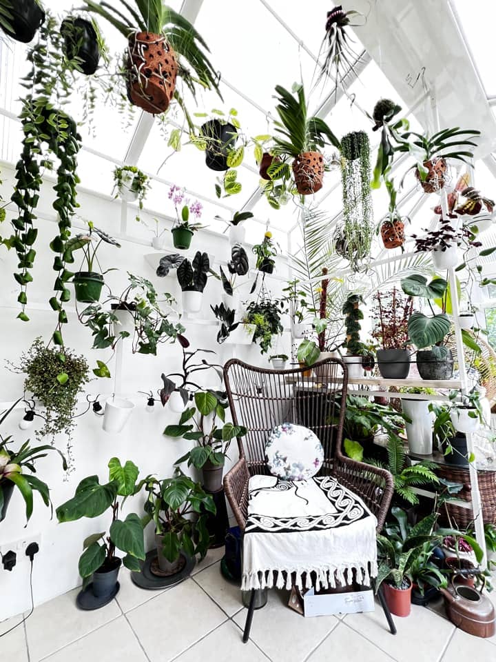 Best Plants For A Conservatory 1 Hanging plants in conservatory